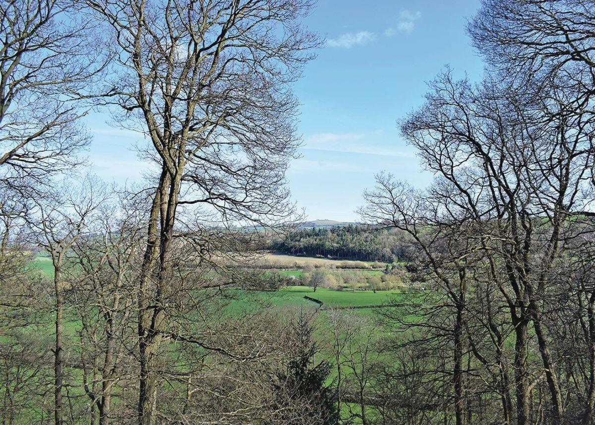Penllwyn Lodges Montgomery Exteriör bild